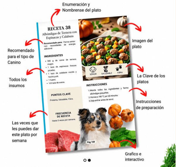 Ejemplo de receta para perros con ingredientes e instrucciones